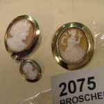 392 2075 Broscher